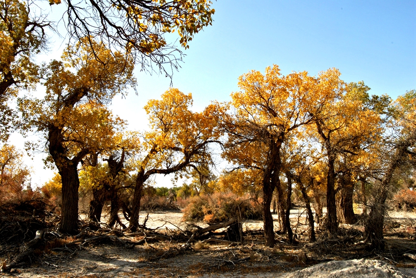 ������ (6).jpg