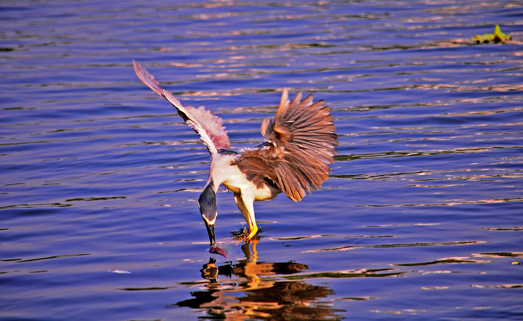 yl 650--��ͼ.jpg