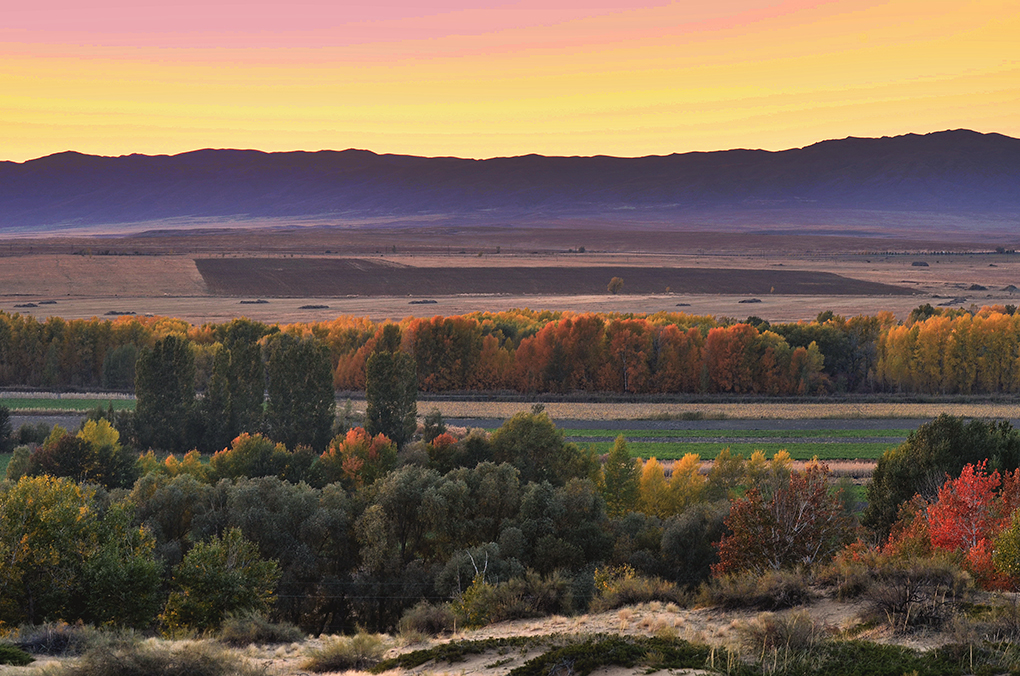 Ϧ����  ����13899523109