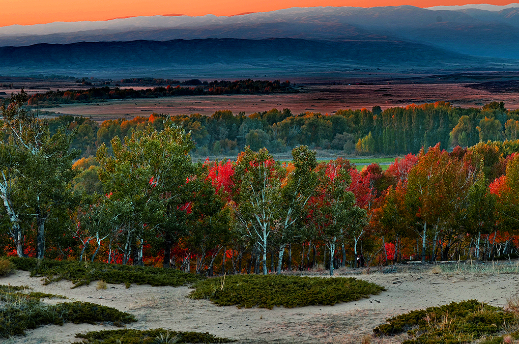 ������  ����13899523109