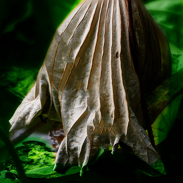 2014��9��25�����˴���Ӱչ��a 04112.jpg