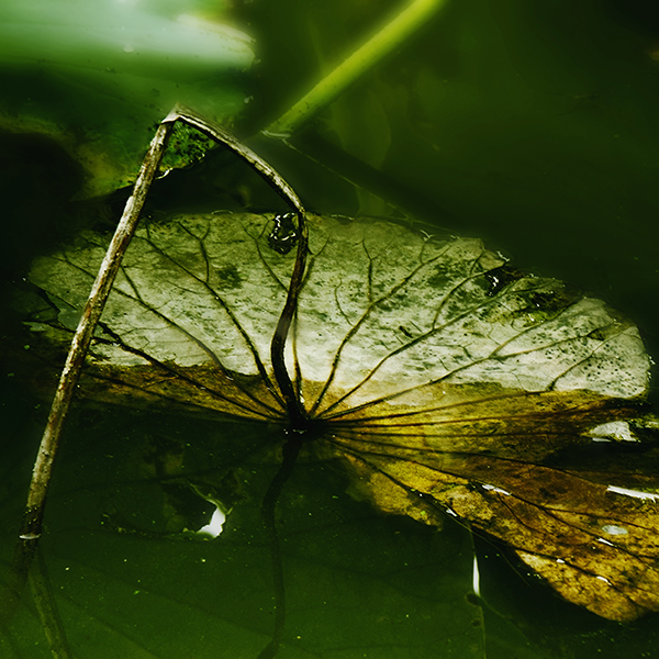 2014��9��25�����˴���Ӱչ�� a03712.jpg