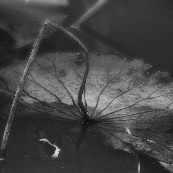 2014��9��25�����˴���Ӱչ�� a03812.jpg