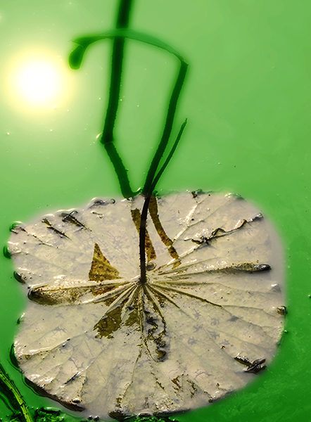 2014��9��25�����˴���Ӱչ�� a04312.jpg