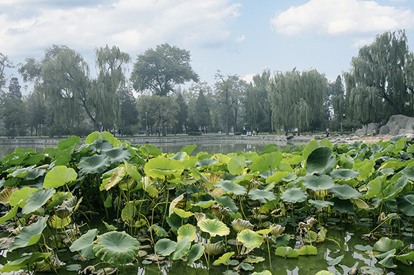 2014��9��25�����˴���Ӱչ�� a04712.jpg