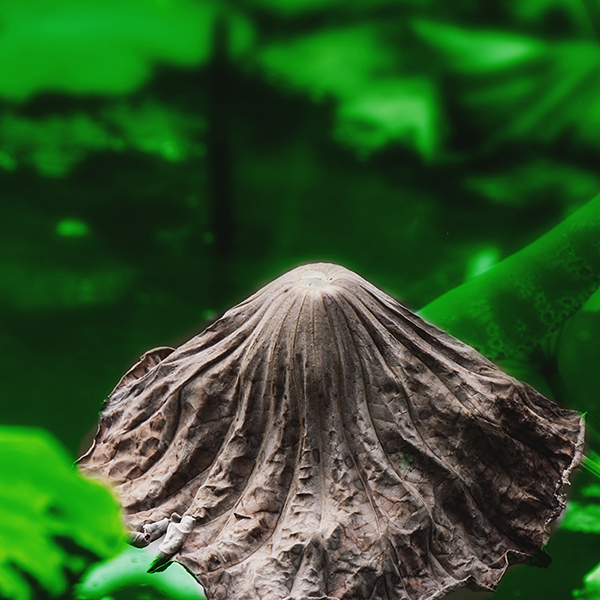 2014��9��25�����˴���Ӱչ�� a04912.jpg