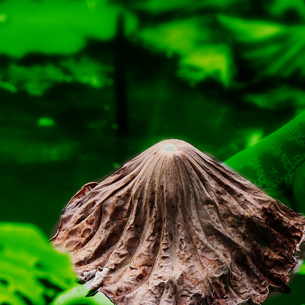 2014��9��25�����˴���Ӱչ�� a05012.jpg