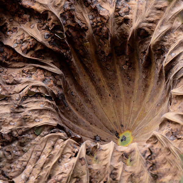 2014��9��25�����˴���Ӱչ�� a05212.jpg