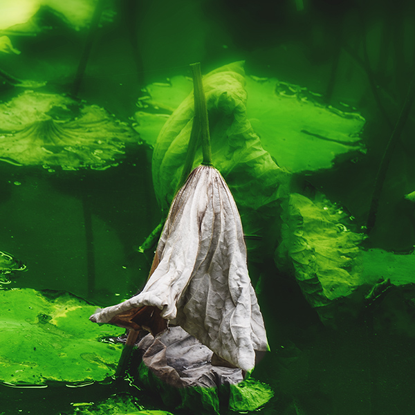 2014��9��25�����˴���Ӱչ�� a05512.jpg