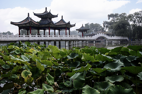 2014��9��25�����˴���Ӱչ�� a06512.jpg