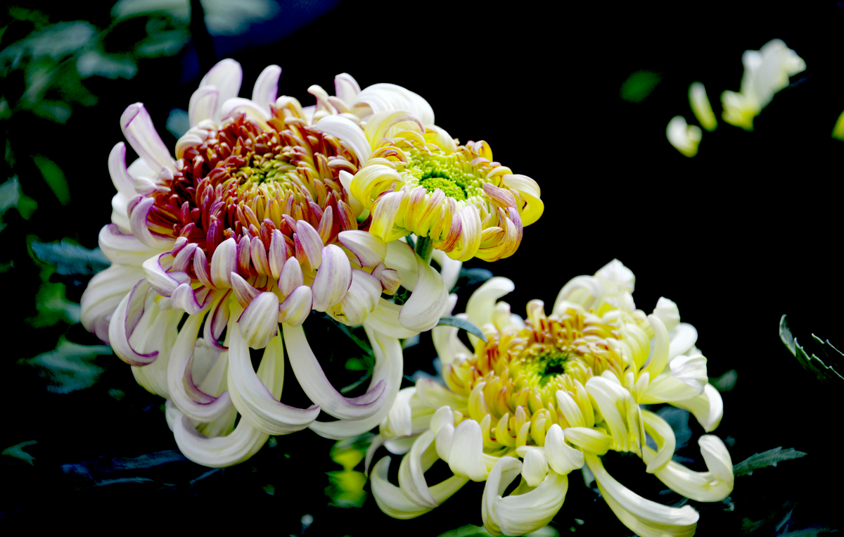 nEO_IMG_���¾ջ���   (2).jpg