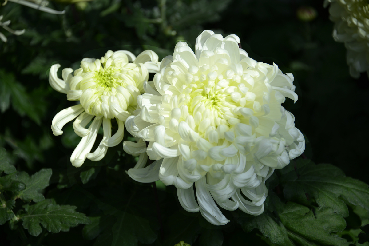 nEO_IMG_���¾ջ���   (4).jpg