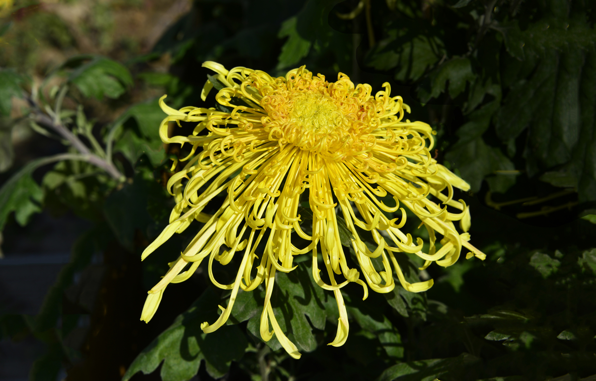 nEO_IMG_���¾ջ���   (5).jpg