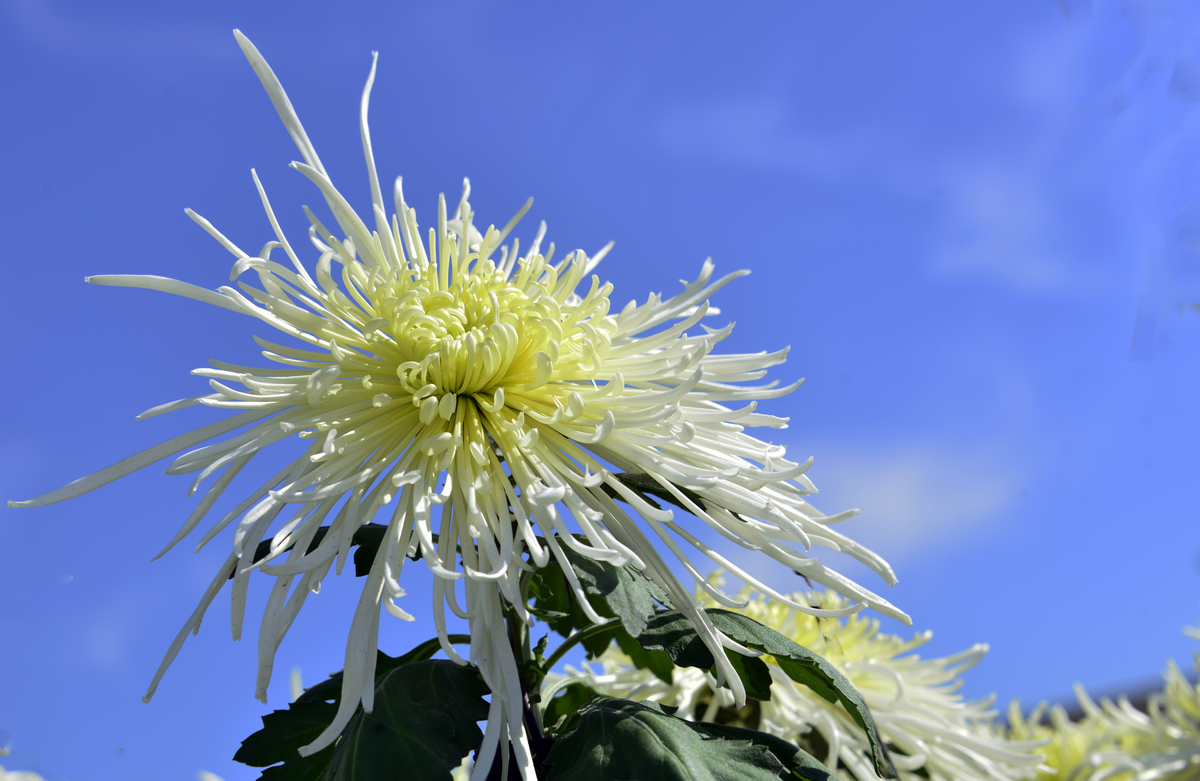 nEO_IMG_���¾ջ���   (6).jpg