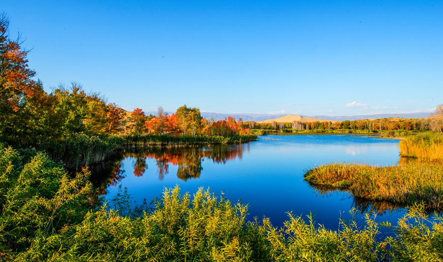 DSC_7012a - ����.jpg