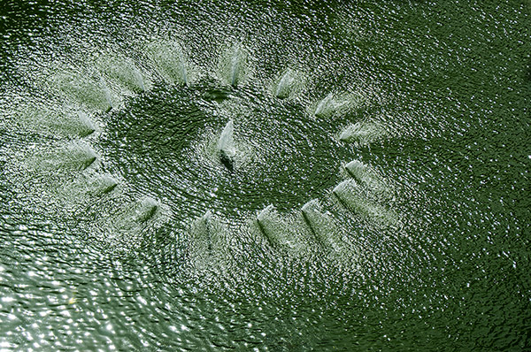 2014��10��5���ٷ��� a04012.jpg