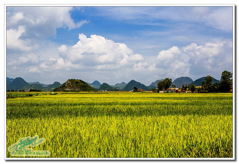 128A4454_��ͼ��_��ͼ�� - ����.jpg