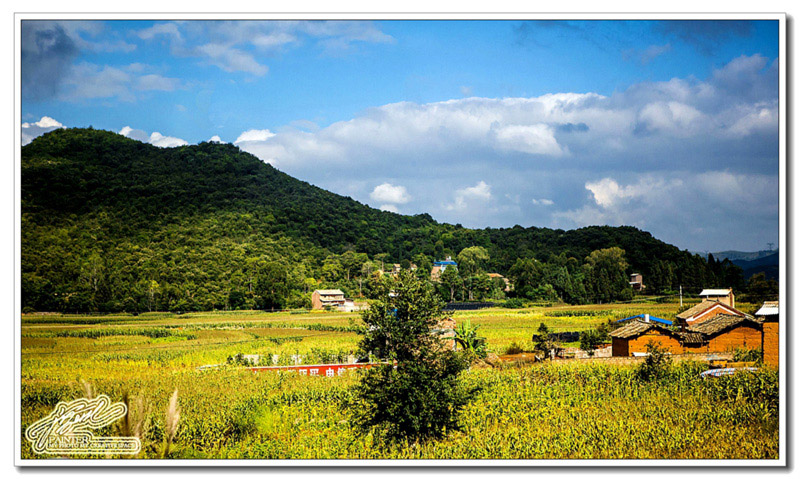 128A4718_��ͼ��_��ͼ�� - ����.jpg