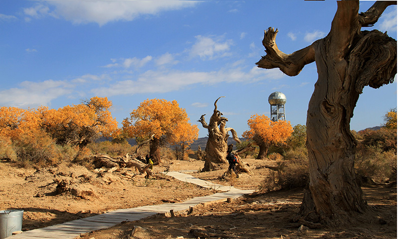 ���ֹ�����