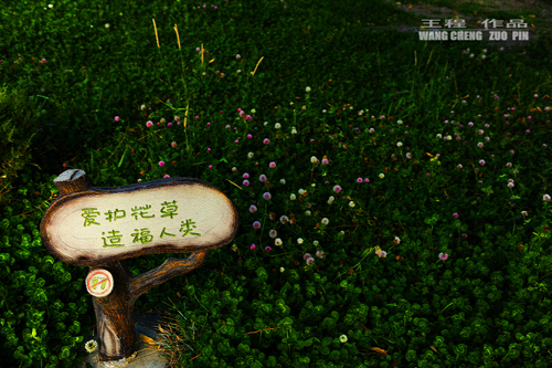 �����Ӿ�ԭ����Ӱ��Ʒ