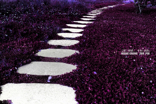 �����Ӿ�ԭ����Ӱ��Ʒ