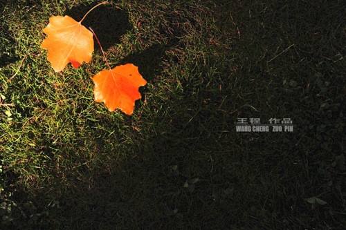 �����Ӿ�ԭ����Ӱ��Ʒ