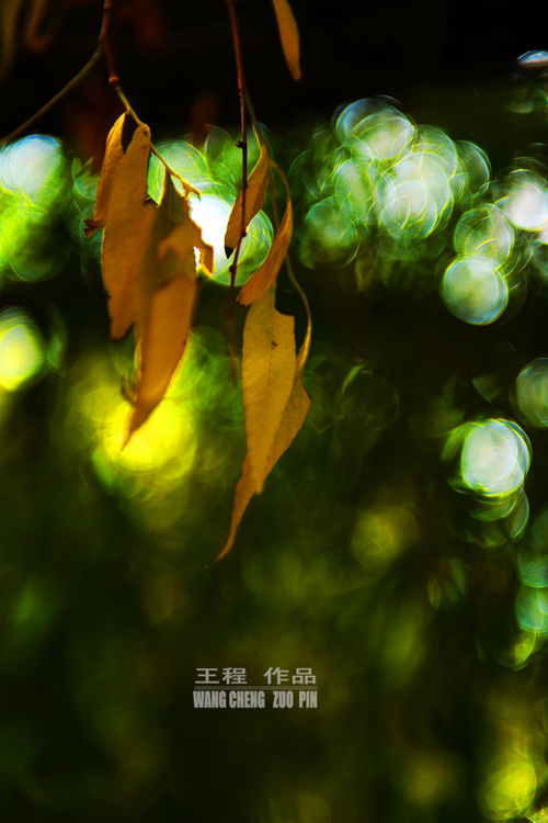 �����Ӿ�ԭ����Ӱ��Ʒ