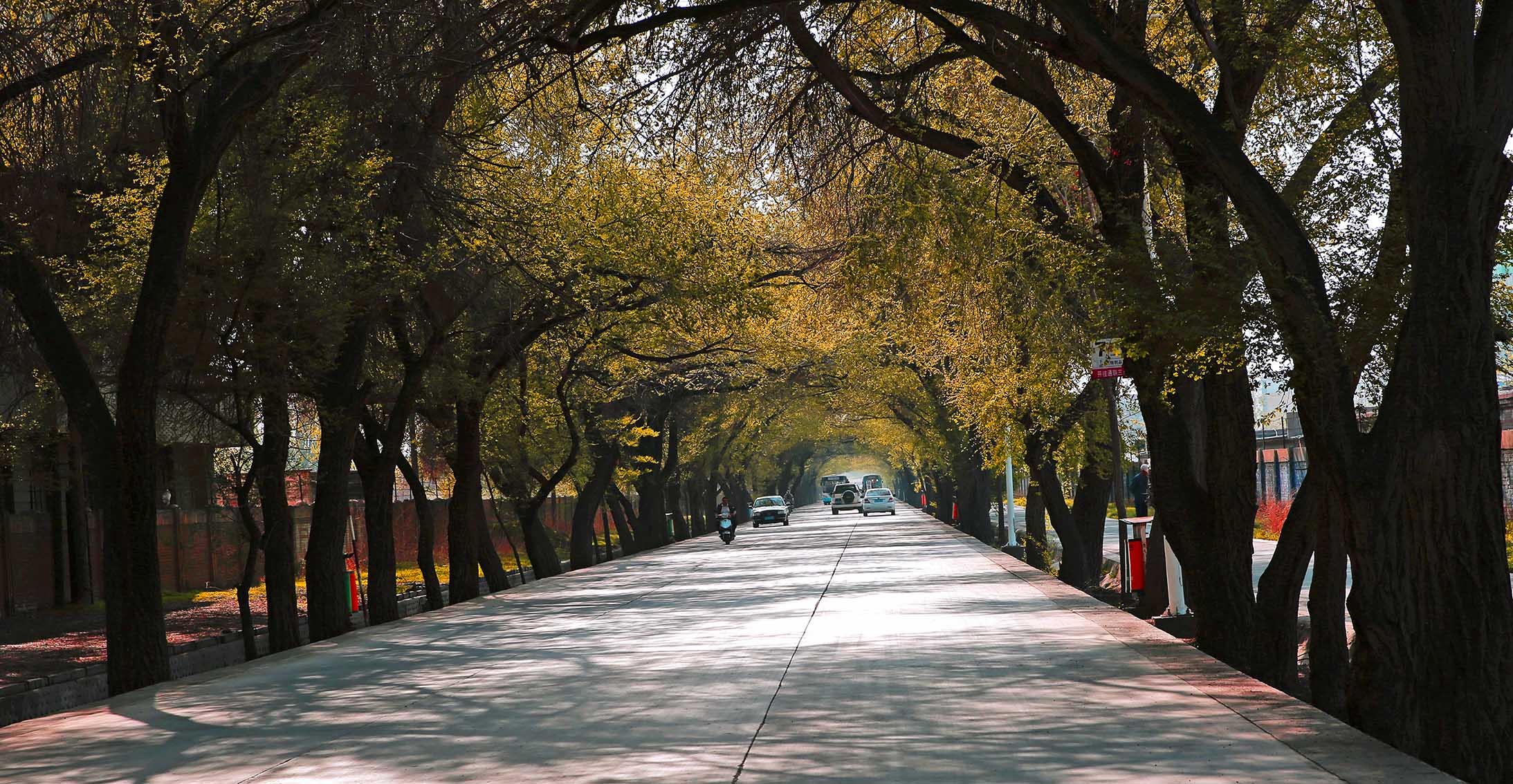 ����·��������һ�գ�