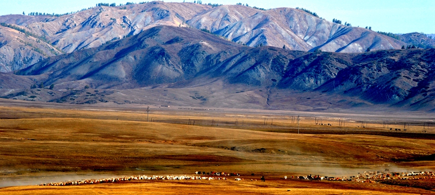 ������ (154)_����.jpg