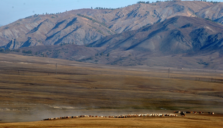 ������ (158)_����.jpg