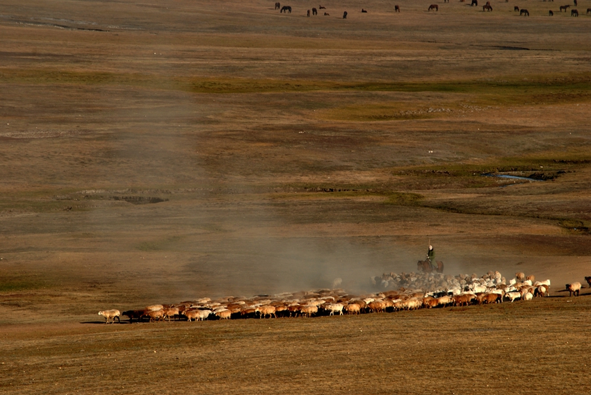 ������ (162)_����.jpg