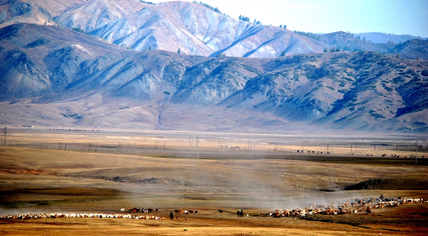 ������ (150)_����.jpg