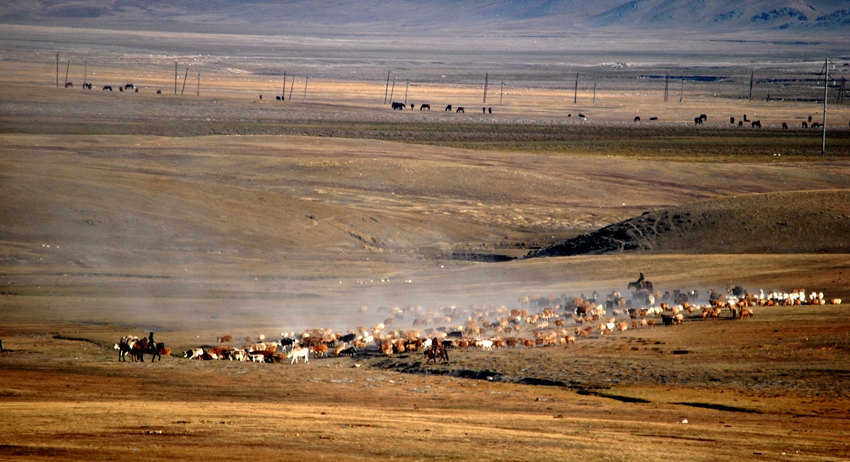 ������ (152)_����.jpg