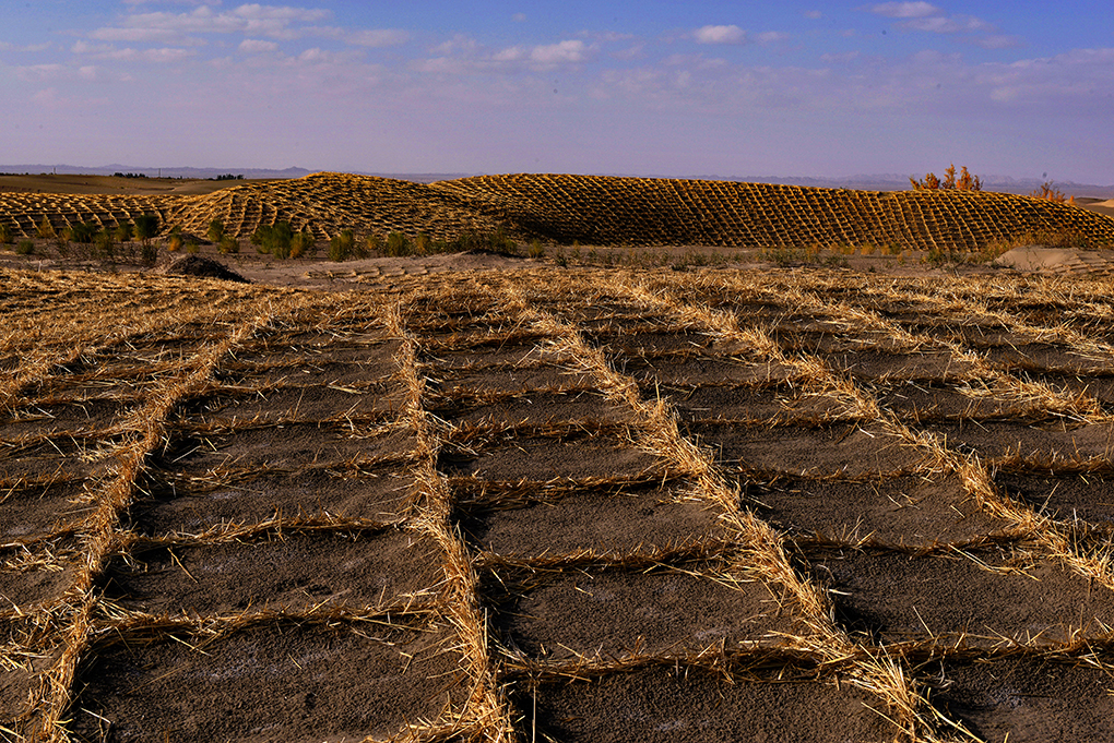 ��ɳ����  ����13899523109