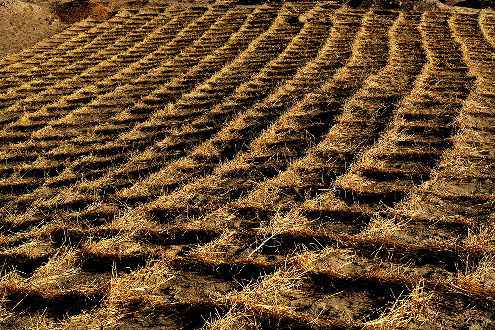 ����  ����13899523109