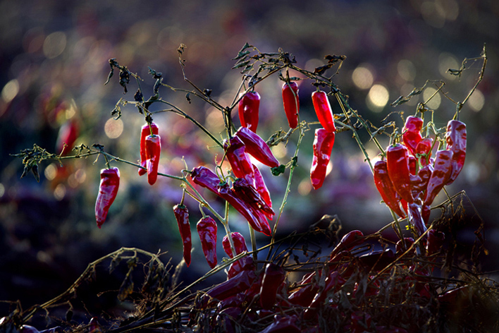 ����ؽ��졷���飩 (2) �ַ� ��  ����.jpg