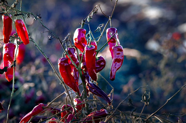 ����ؽ��졷���飩 (3) �ַ� ��  ����.jpg