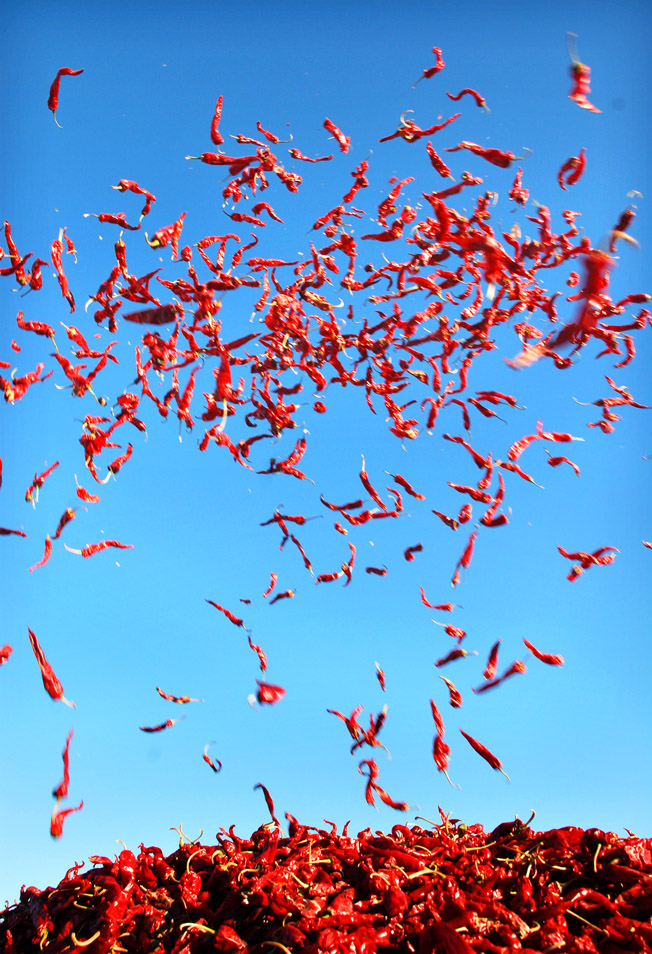 001ѹ�� ����.jpg