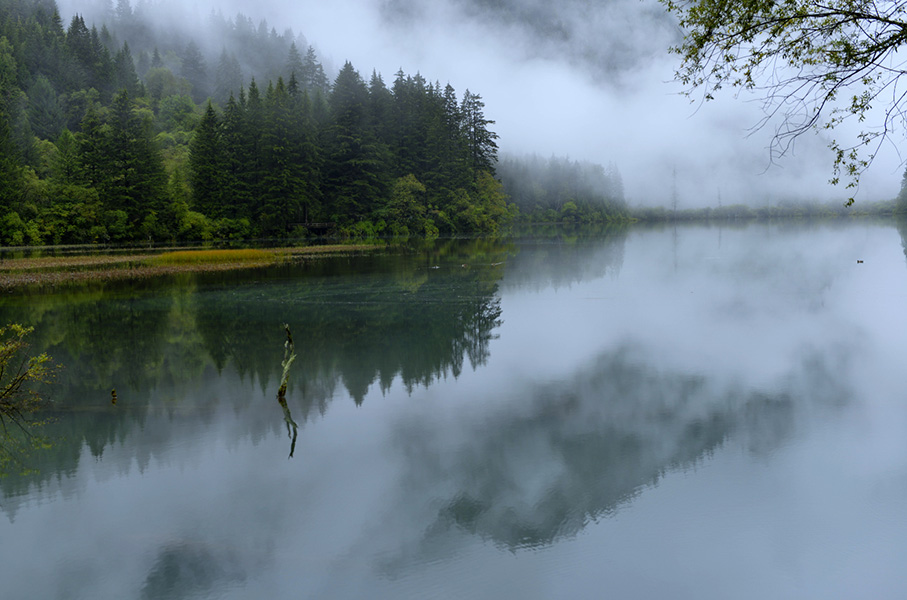 �������ɣ���������