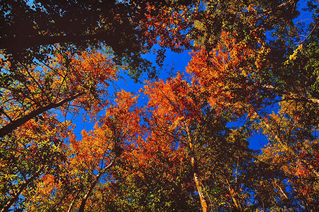 ����   ������