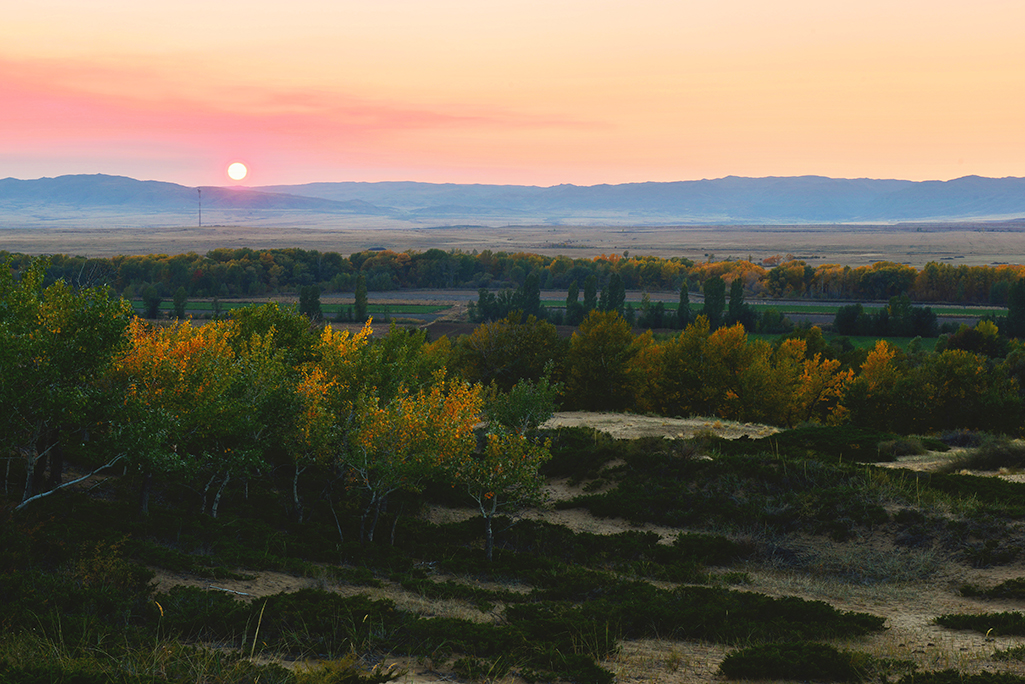 Ϧ������  ������