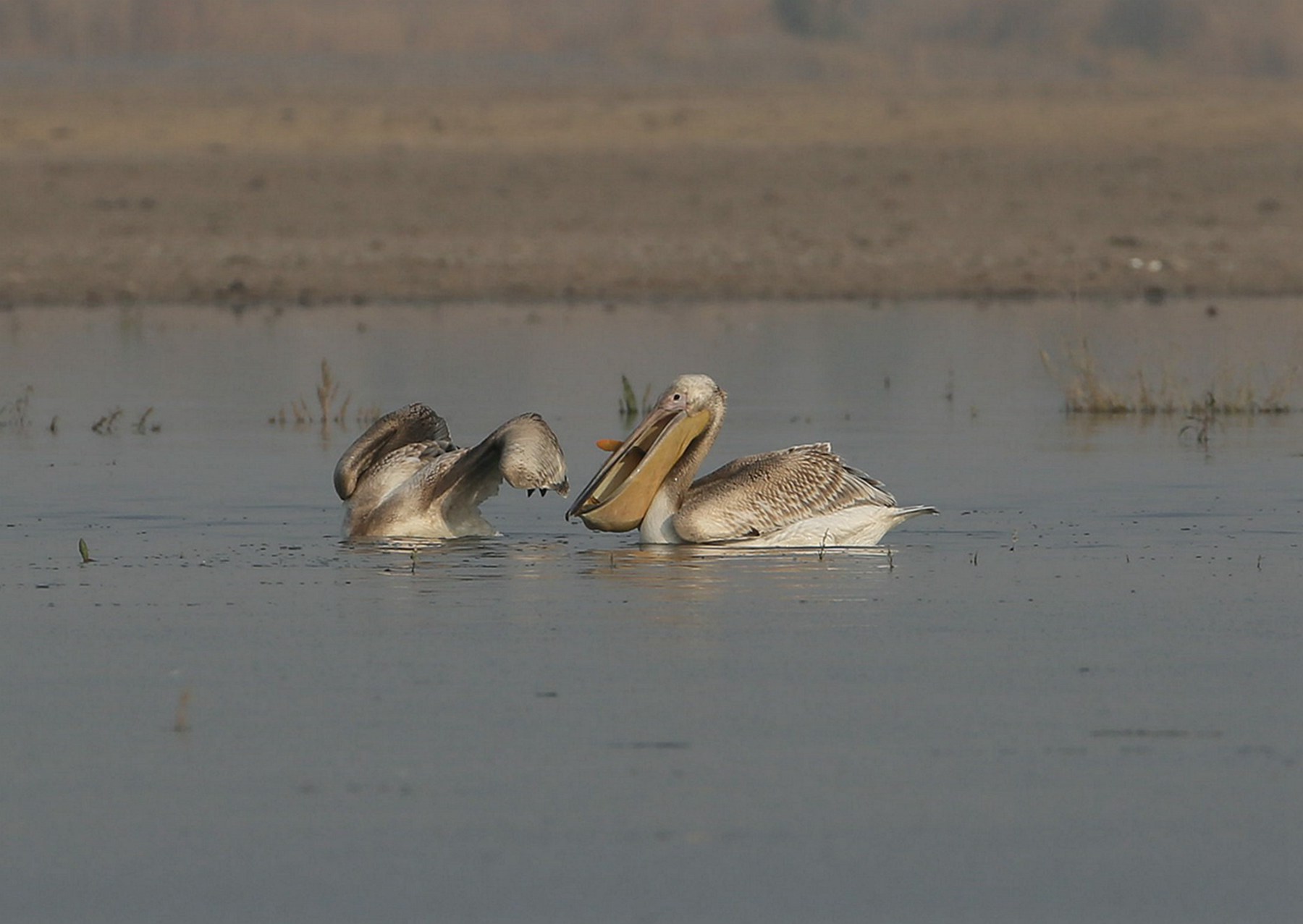 ��סһ������ (1).jpg