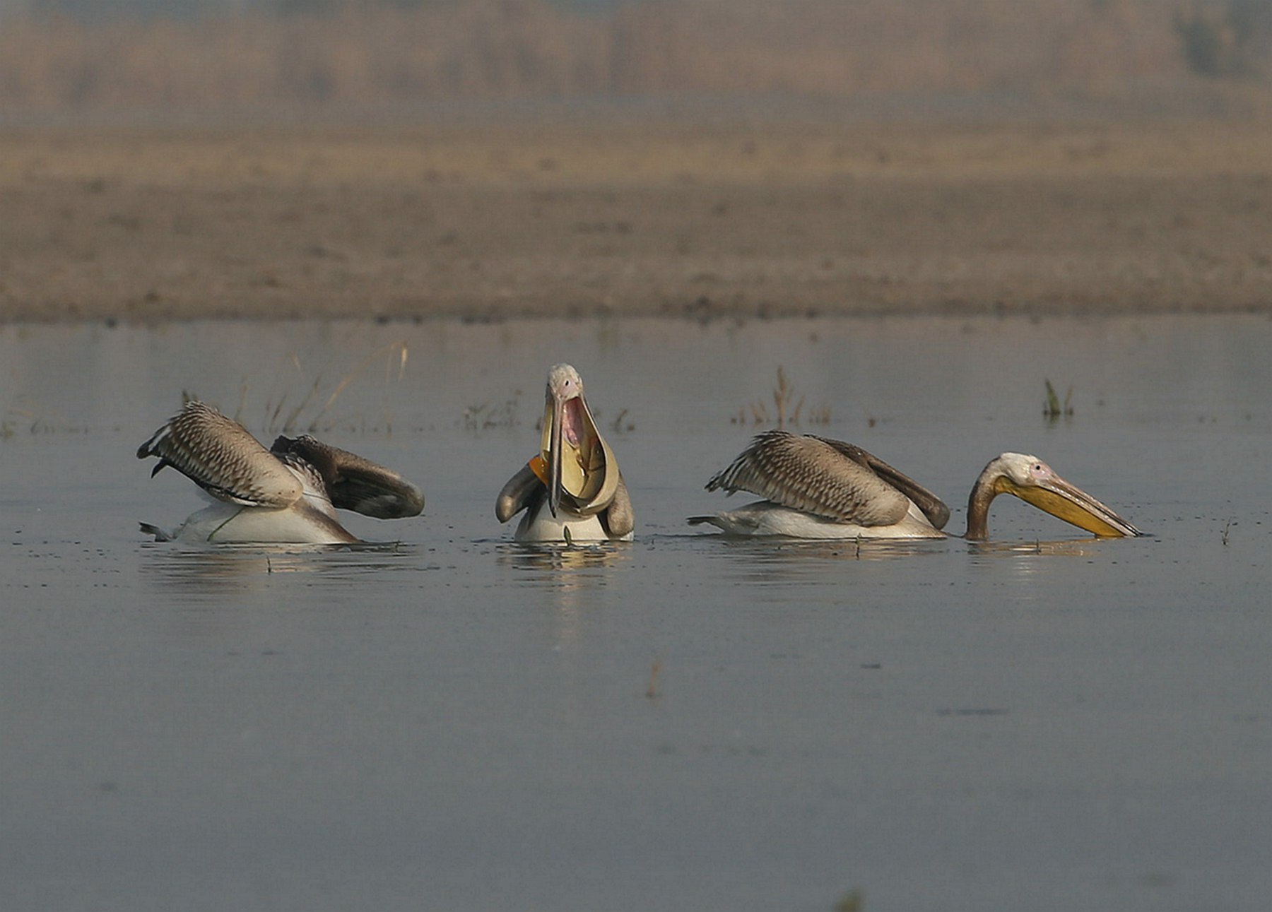 ��סһ������ (3).jpg