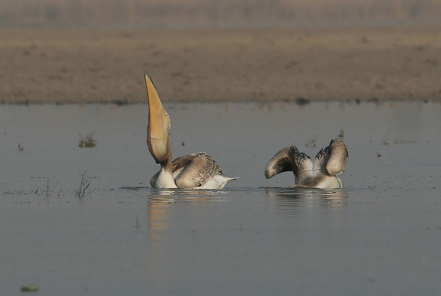 ��סһ������ (6).jpg