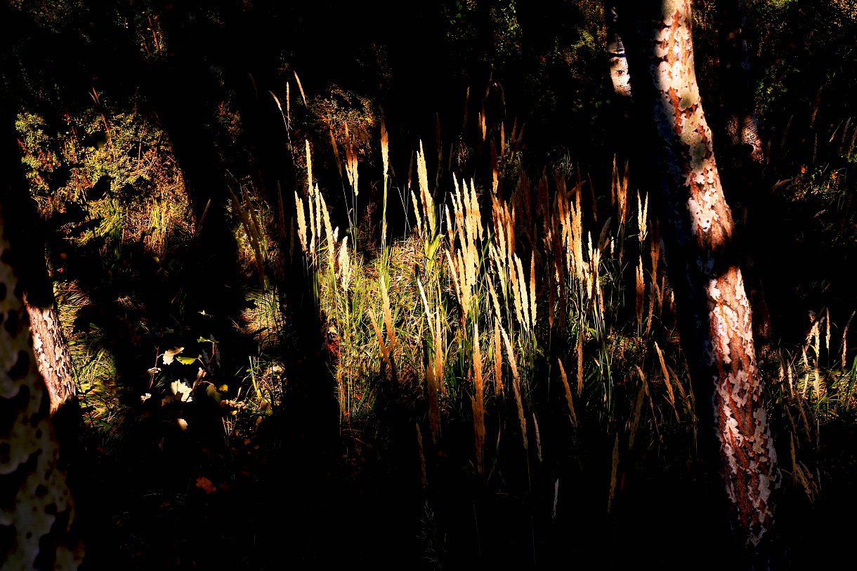 479A9789a - ����.jpg