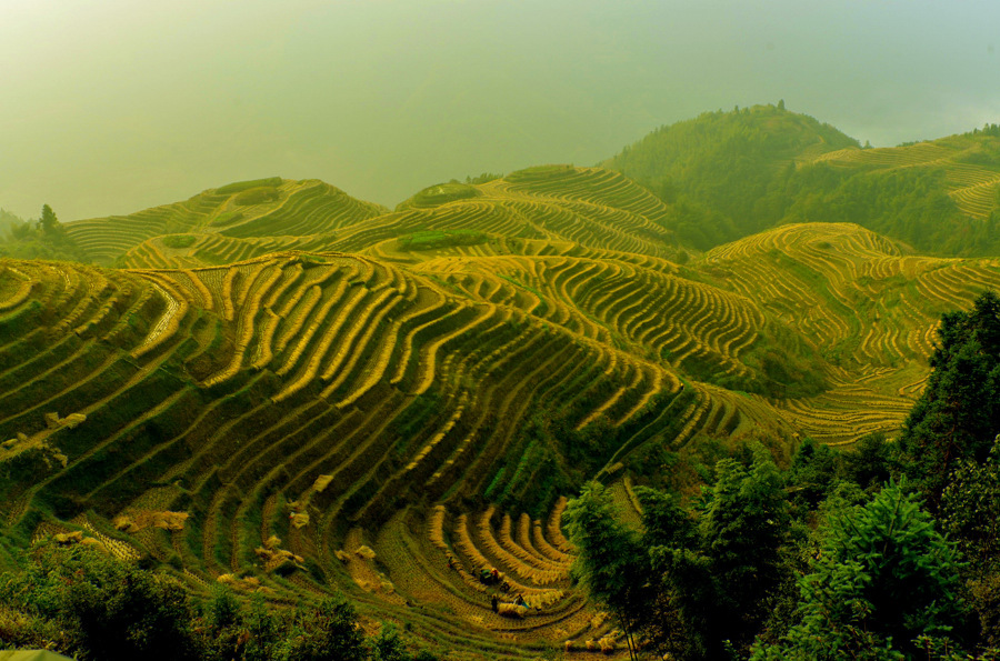 ���������