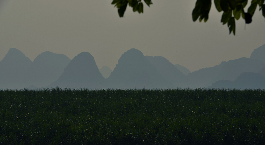 �������ݷ��