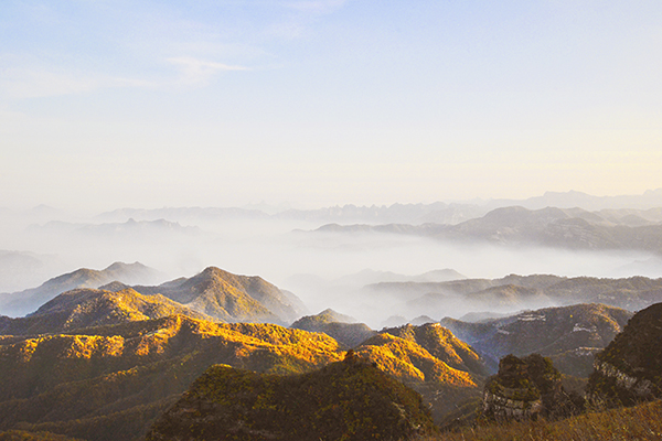 2014��10��23���Ͼ���������(ccc) a08212.jpg