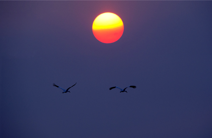 _LFE7461 ����.jpg