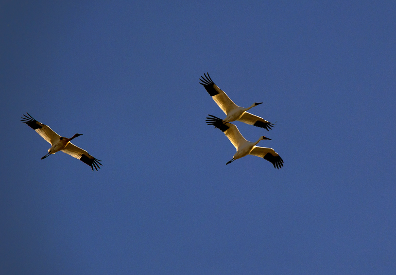 _LFE7406 ����.jpg